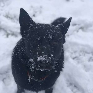 Meet your Posher, Junior